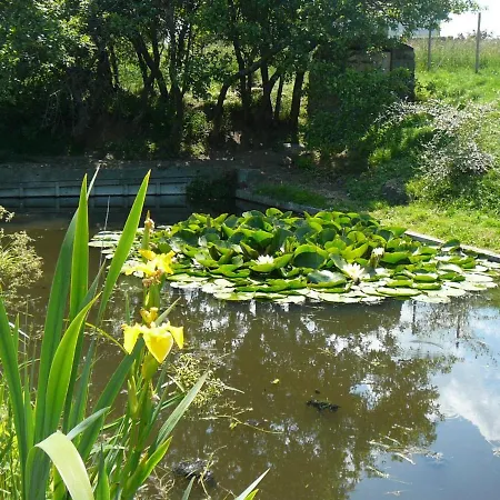 Avec Jardin Privatif, Proche Montbrison, Equipe Moderne Et Confort Total - Fr-1-496-117 בית נופש