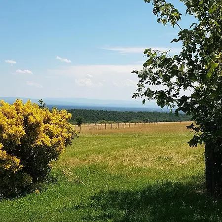 Holiday home Avec Jardin Privatif, Proche Montbrison, Equipe Moderne Et Confort Total - Fr-1-496-117