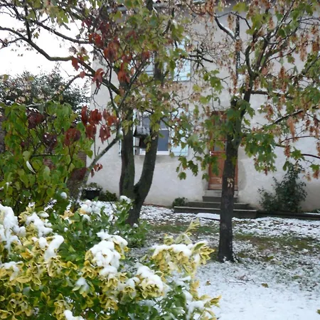 Avec Jardin Privatif, Proche Montbrison, Equipe Moderne Et Confort Total - Fr-1-496-117 *